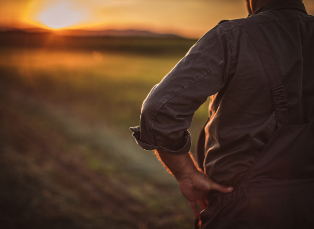 ¿Qué es un seguro agrario? 